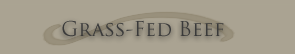 Grass-Fed Beef
