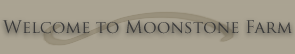 Welcome to Moonstone Farm